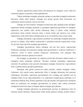 Įmonės strateginis valdymas 12 puslapis