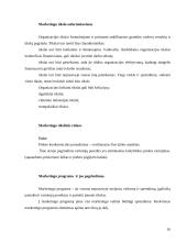 Įmonės strateginis valdymas 16 puslapis