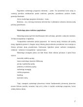 Įmonės strateginis valdymas 17 puslapis