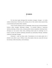 Įmonės strateginis valdymas 3 puslapis