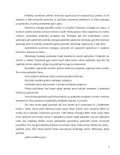 Įmonės strateginis valdymas 5 puslapis