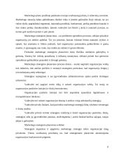 Įmonės strateginis valdymas 8 puslapis