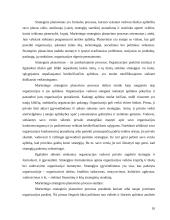 Įmonės strateginis valdymas 10 puslapis