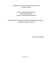 Įmonės turtas, jo struktūra. Turto panaudojimo efektyvumas