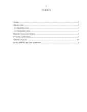 Įmonės turtas, jo struktūra. Turto panaudojimo efektyvumas 2 puslapis