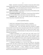 Įmonės turtas, jo struktūra. Turto panaudojimo efektyvumas 16 puslapis