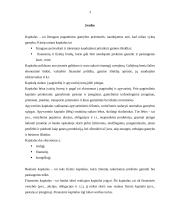 Įmonės turtas, jo struktūra. Turto panaudojimo efektyvumas 3 puslapis