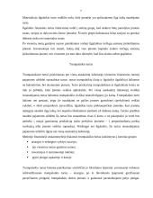 Įmonės turtas, jo struktūra. Turto panaudojimo efektyvumas 7 puslapis