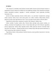 Įmonės valdymo ciklas: UAB "Rokauta"