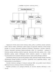 Įmonės valdymo ciklas: UAB "Rokauta" 3 puslapis