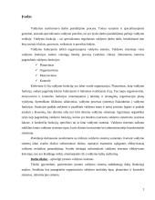 Įmonės valdymo sistemos 2 puslapis