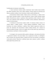 Įmonės valdymo sistemos 12 puslapis