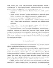 Įmonės valdymo sistemos 14 puslapis