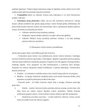 Įmonės valdymo sistemos 15 puslapis