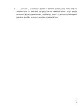 Įmonės valdymo sistemos 16 puslapis