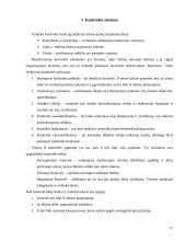 Įmonės valdymo sistemos 17 puslapis