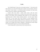 Įmonės valdymo sistemos 20 puslapis