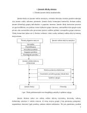 Įmonės valdymo sistemos 3 puslapis