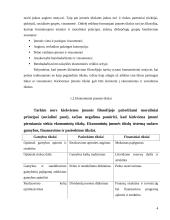 Įmonės valdymo sistemos 4 puslapis