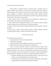 Įmonės valdymo sistemos 5 puslapis