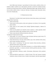 Įmonės valdymo sistemos 6 puslapis