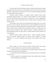 Įmonės valdymo sistemos 10 puslapis