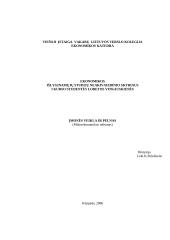 Firmos veikla ir pelnas