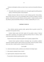 Firmos veikla ir pelnas 11 puslapis