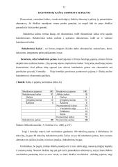 Firmos veikla ir pelnas 13 puslapis