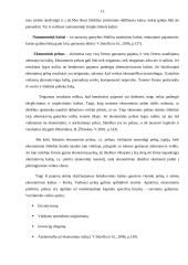 Firmos veikla ir pelnas 14 puslapis