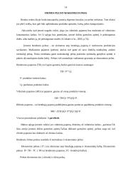 Firmos veikla ir pelnas 15 puslapis