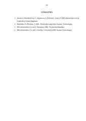 Firmos veikla ir pelnas 19 puslapis