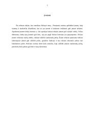 Firmos veikla ir pelnas 3 puslapis