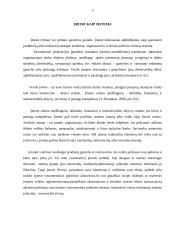 Firmos veikla ir pelnas 4 puslapis