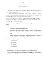 Firmos veikla ir pelnas 5 puslapis