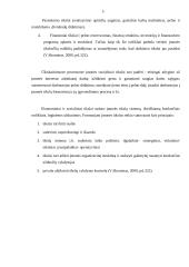 Firmos veikla ir pelnas 6 puslapis