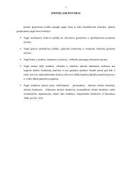 Firmos veikla ir pelnas 8 puslapis