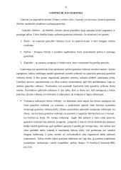 Firmos veikla ir pelnas 9 puslapis