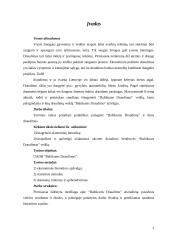 Įmonės veikla: UAB "Baltikums Draudimas"