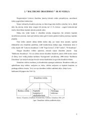 Įmonės veikla: UAB "Baltikums Draudimas" 4 puslapis
