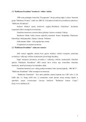 Įmonės veikla: UAB "Baltikums Draudimas" 5 puslapis