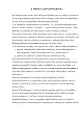 Įmonės veiklos analizė: prekyba baldinėmis medžiagomis UAB "Managonis" 2 puslapis