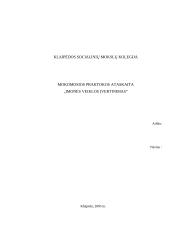 Įmonės veiklos analizė: prekyba baldinėmis medžiagomis UAB "Managonis" 9 puslapis