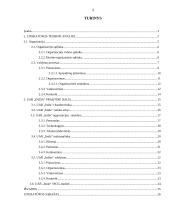 Įmonės veiklos analizė: prekyba kompiuterine įranga UAB "Inida" 3 puslapis