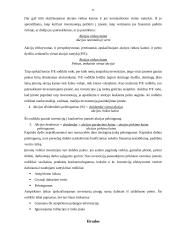 Įmonės veiklos įvertinimai (rodikliai) 11 puslapis