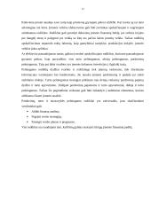 Įmonės veiklos įvertinimai (rodikliai) 12 puslapis