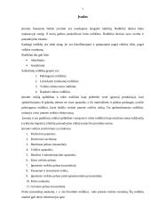 Įmonės veiklos įvertinimai (rodikliai) 3 puslapis