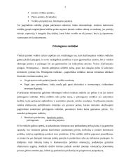 Įmonės veiklos įvertinimai (rodikliai) 4 puslapis