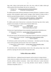 Įmonės veiklos įvertinimai (rodikliai) 6 puslapis