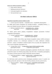 Įmonės veiklos įvertinimai (rodikliai) 8 puslapis